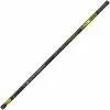Garbolino Pole Silverfish 21 Vaste Hengel (10m)