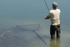 Korda Spring Bow Net Schepnet (42 Inch) -Verticaalhengels Winkel 2decb53498493881