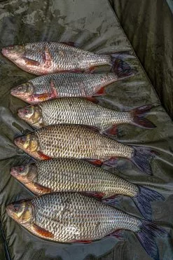 Korum Supa Lite Fast Mat XL Onthaakmat